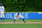 Baseball vs Babson NEWMAC Finals  Wheaton College vs Babson College play in the NEWMAC baseball championship finals. - (Photo by Keith Nordstrom) : Wheaton, baseball, NEWMAC, Babson